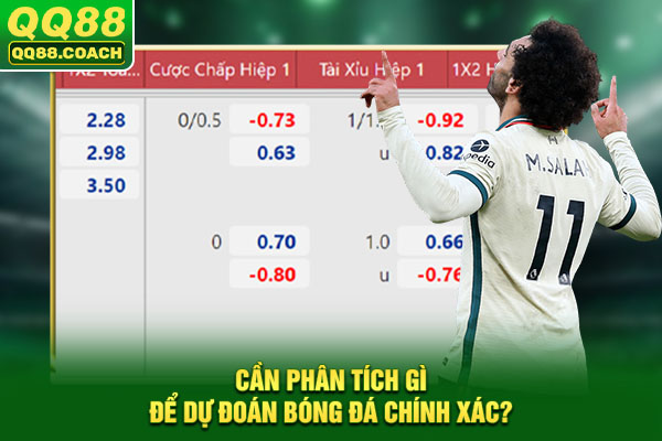 Cần phân tích gì để dự đoán bóng đá chính xác?