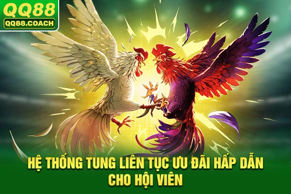 Hệ thống tung liên tục ưu đãi hấp dẫn cho hội viên
